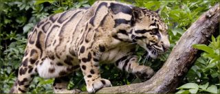 5-must-visit-national-parks-in-indonesia