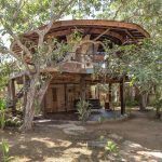 5 Beautiful Tree Houses You Can Stay in Indonesia