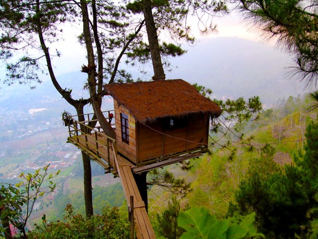 5 Beautiful Tree Houses You Can Stay in Indonesia