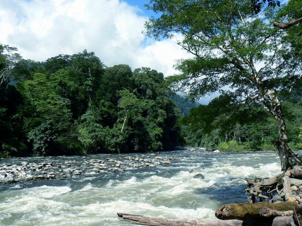 gunung leuser