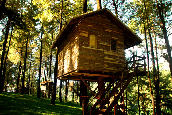 Taman Pinus 5 Beautiful Tree Houses You Can Stay in Indonesia Taman Pinus 5 Beautiful Tree Houses You Can Stay in Indonesia