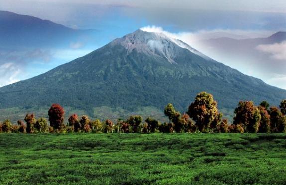 taman-nasional-kerinci-seblat2