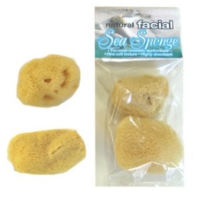 natural-sponge