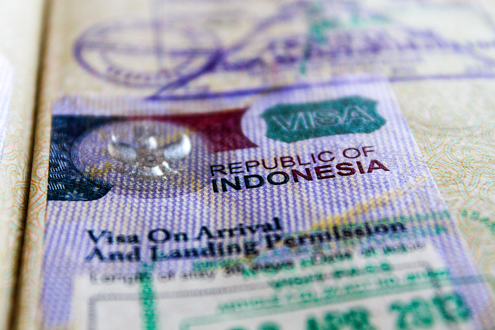 visa