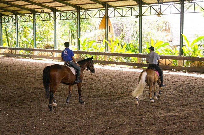 Horseback Riding Lessons around Jakarta? Yes, Here are 6