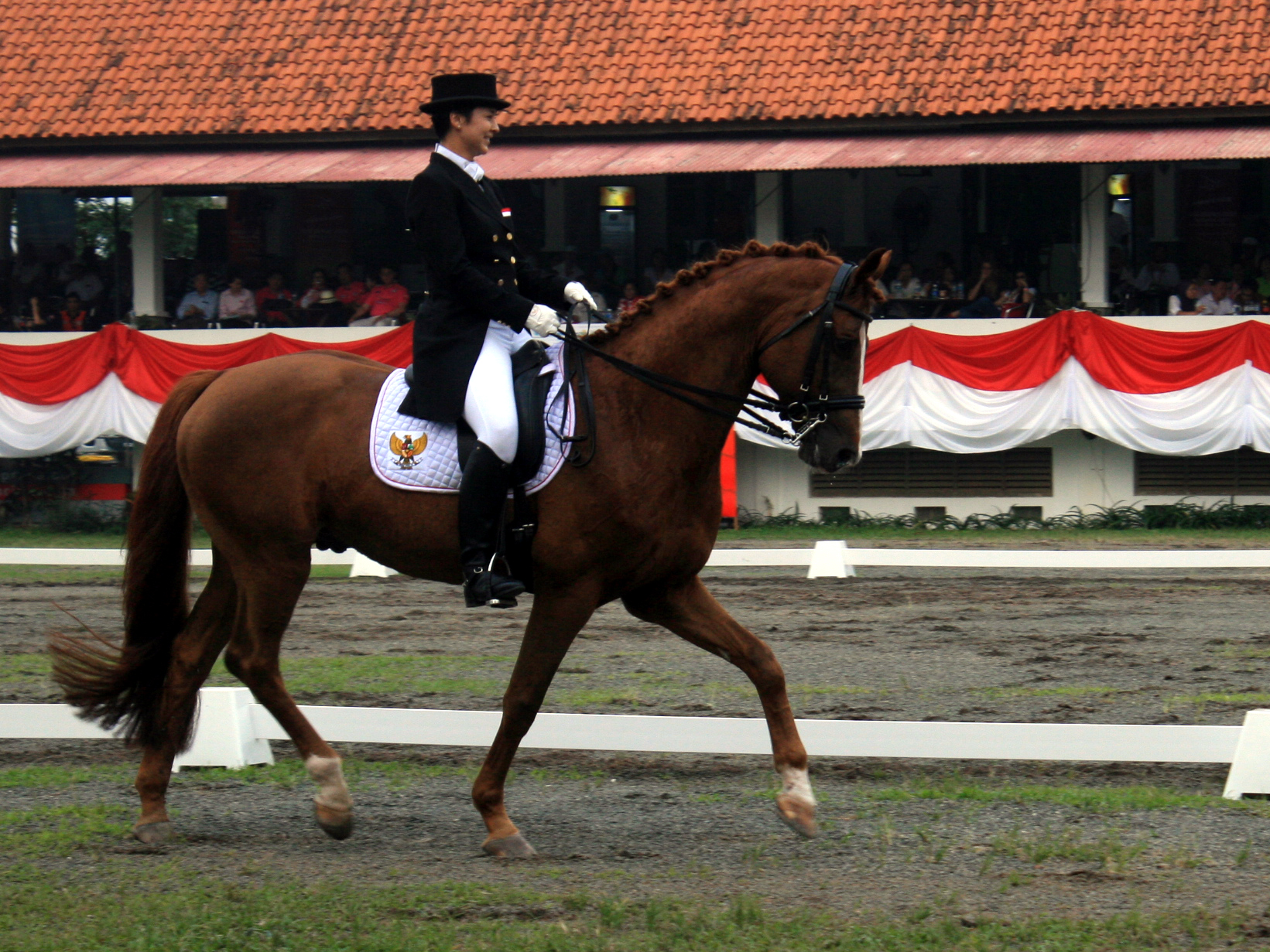 gading-equestrian