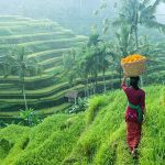 3 Days in Ubud Itinerary