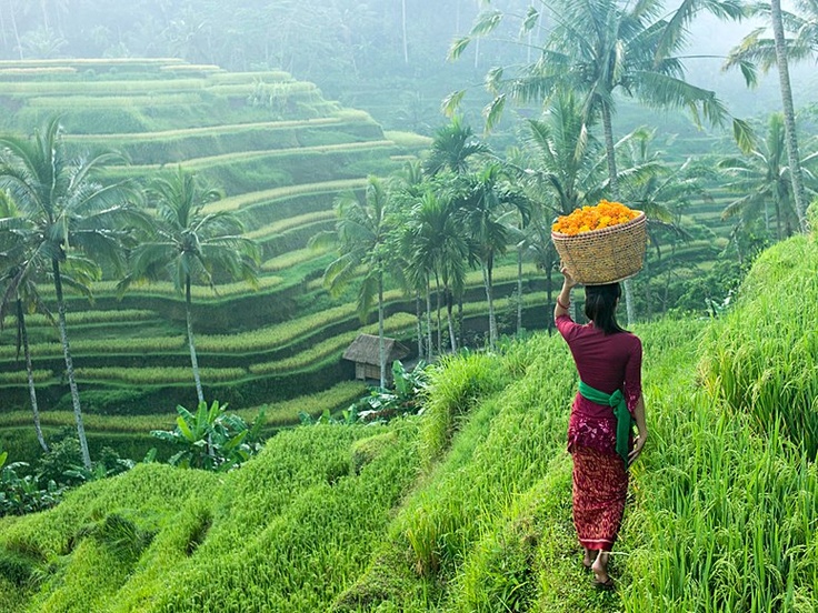 3 Days in Ubud Itinerary