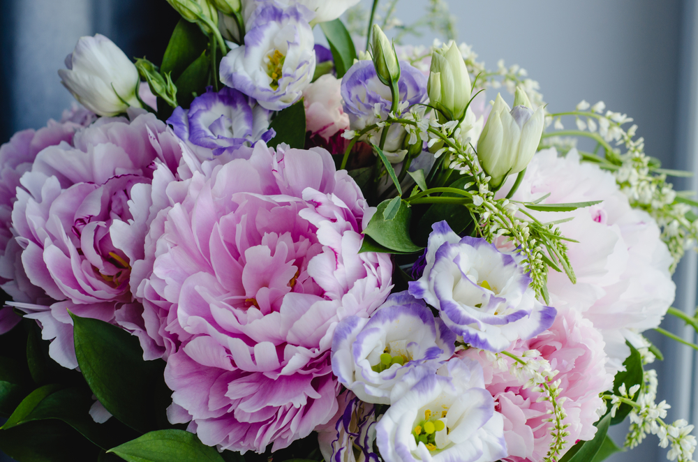 #GiftGuide: The language and meaning of flowers