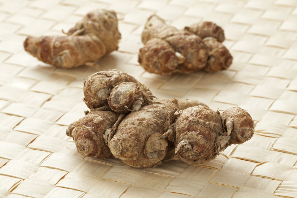Kencur The Wonderful Herb with Many Benefits Kencur The Wonderful Herb with Many Benefits