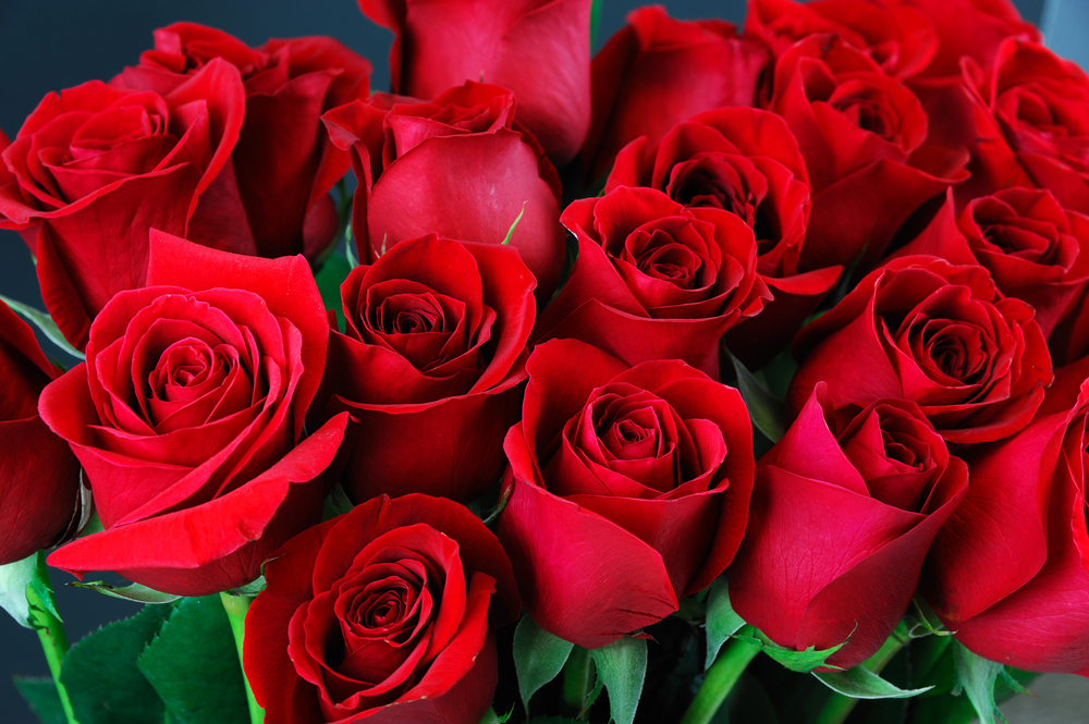 Why Do Red Roses Signify Love?