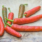 Cabe Puyang: Characteristic, Uses, and Recipes