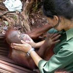 5 Unforgettable Experiences in Indonesia
