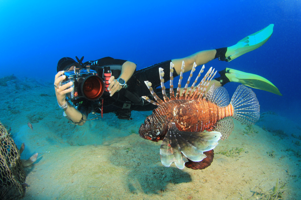 A Guide to Underwater Photography for Beginners