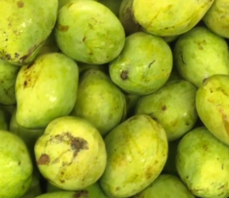 7 Popular Indonesian Mangoes You MustTry Indoindians com 7 Popular Indonesian Mangoes You MustTry Indoindians com