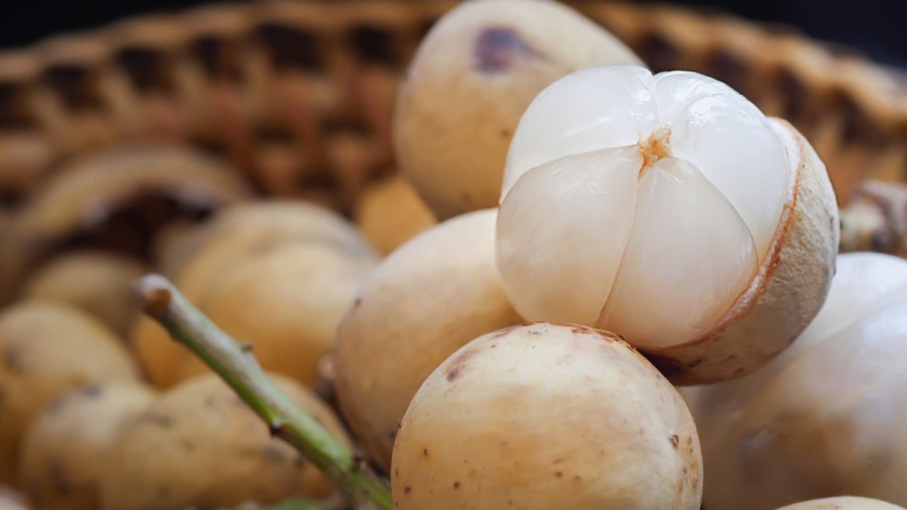 Langsat ﻿local malaysia fruit