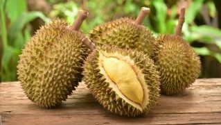 the-king-of-fruits-durian