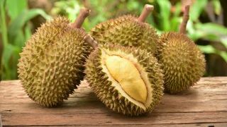 the-king-of-fruits-durian
