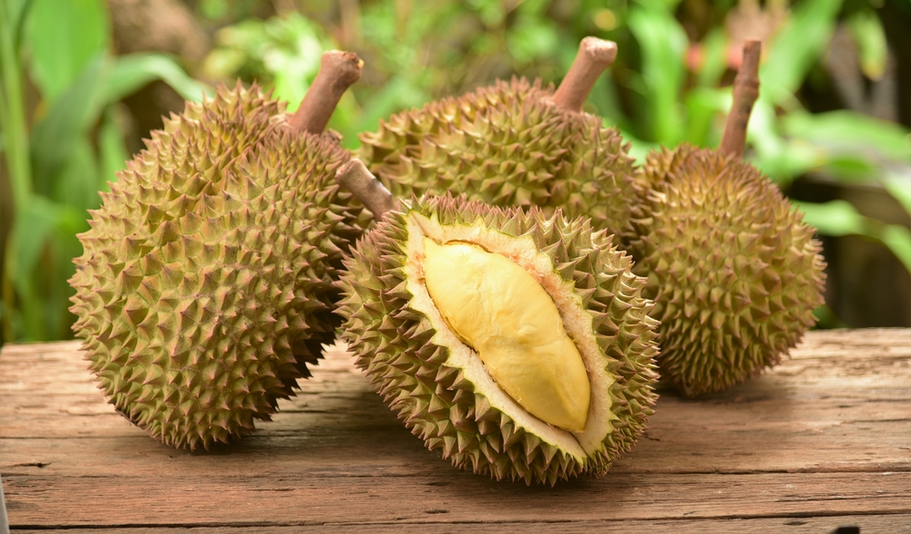 The King of Fruits: Durian