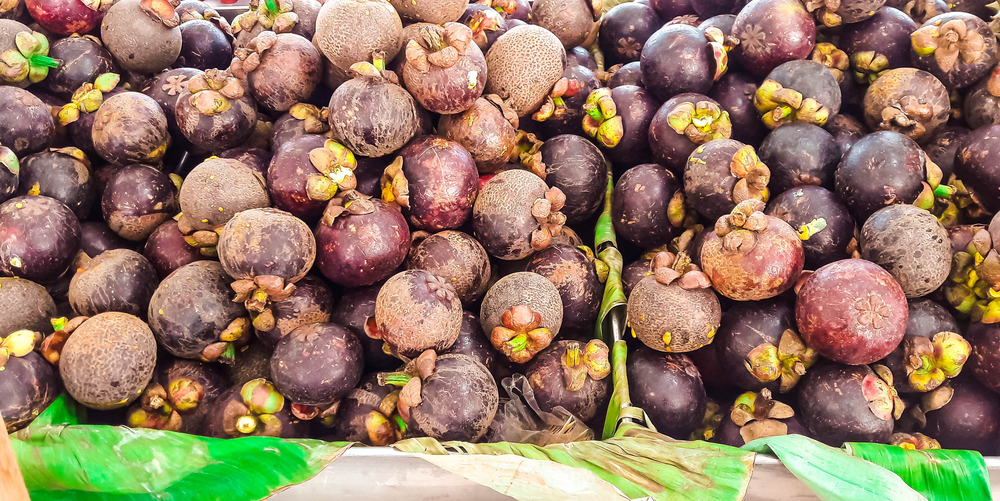 The Queen of Fruit: Mangosteen