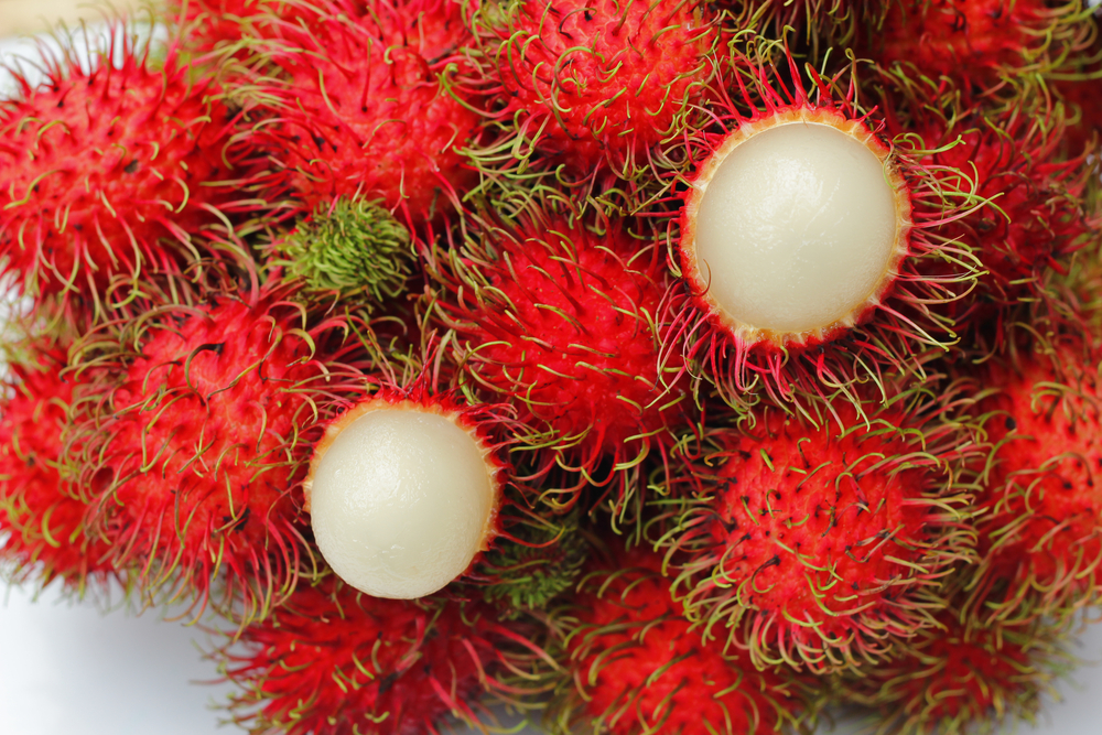 #IndonesianFruit: Rambutan or Hairy Lychee