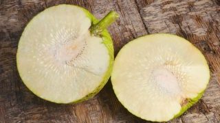 indonesianfruit-getting-to-know-sukun-breadfruit