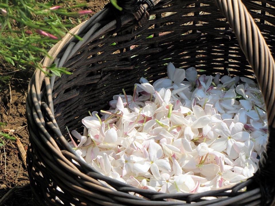 Sniff Your Way to Happiness: Scents to Boost Your Mood