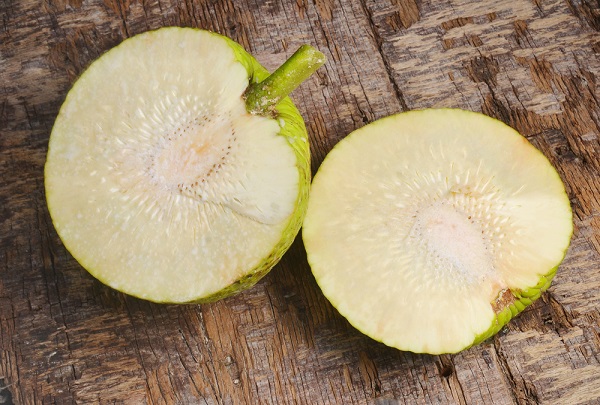 sukun-indonesian-fruits-good-for-your-health