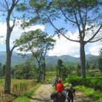 visit-puncak-for-relaxed-holiday-with-family-agro-wisata-gunung-mas-indoindianscom