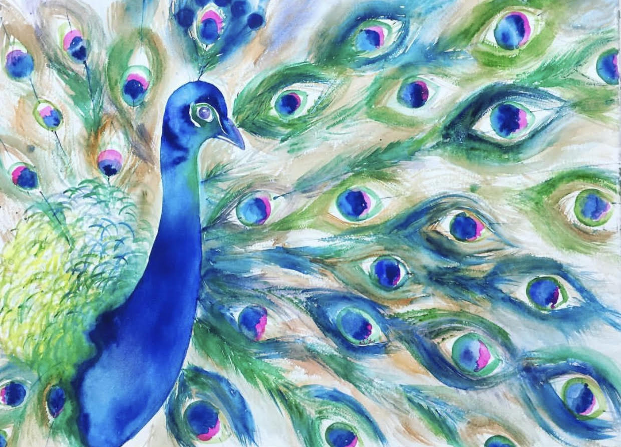 Peacock by Vasundara