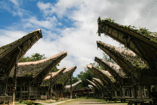 Tongkonan Torajan traditional houses