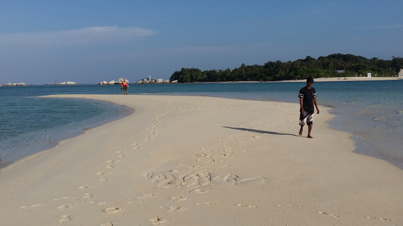 Sand shoal on one of the islands seen during low tide and abundant Star fish