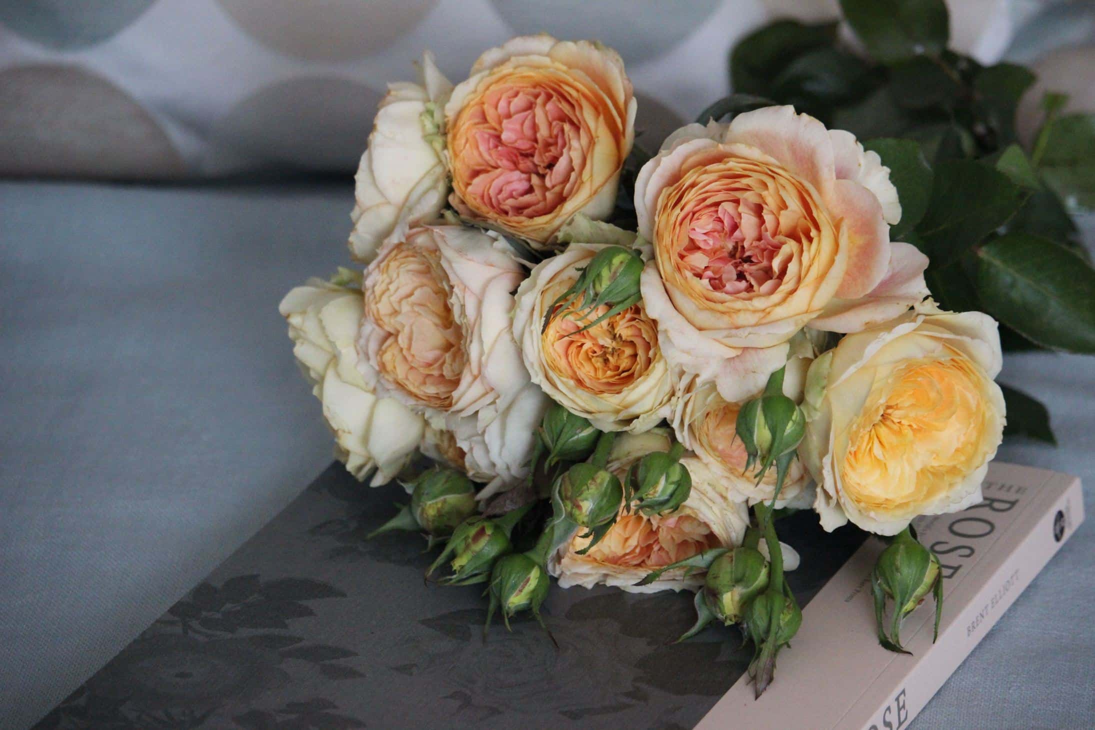 5-selection-of-mood-boosting-flowers-for-your-house-room-garden-roses-bedroom