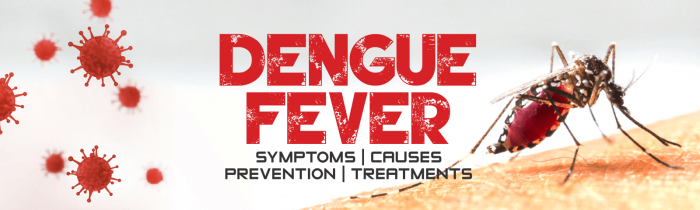 #HealthAlert: Dengue fever Health-Alert-Dengue-fever
