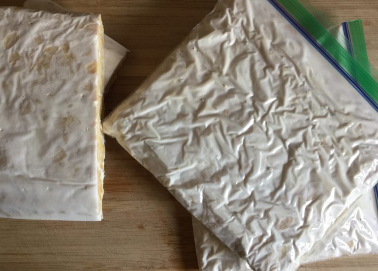 Tempe in Ziplock made at home
