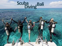 6-Scuba-Diving-Courses-in-Bali