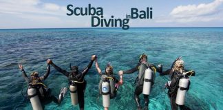 6-Scuba-Diving-Courses-in-Bali