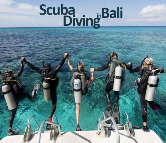 6-Scuba-Diving-Courses-in-Bali