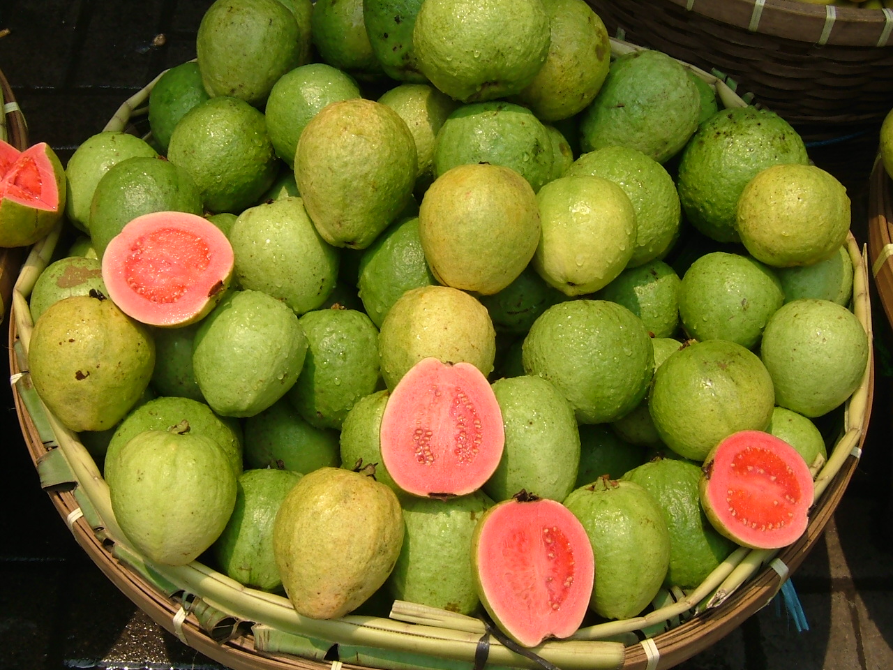 Guava Pink in a Basket