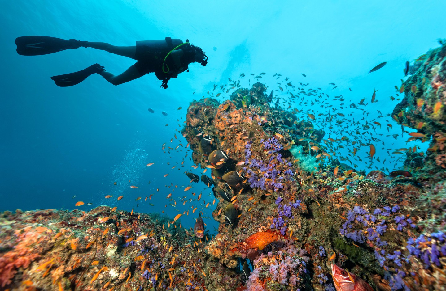 diving in raja ampat