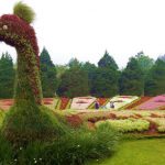 Enjoy-Flora-at-Taman-Bunga-Nusantara