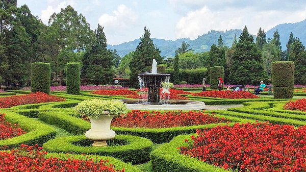 Enjoy Flora at Taman Bunga  Nusantara Indoindians com