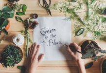 Tips to Environmentally-Friendly Beauty Routine
