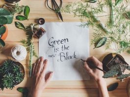 Tips to Environmentally-Friendly Beauty Routine Tips to Environmentally-Friendly Beauty Routine