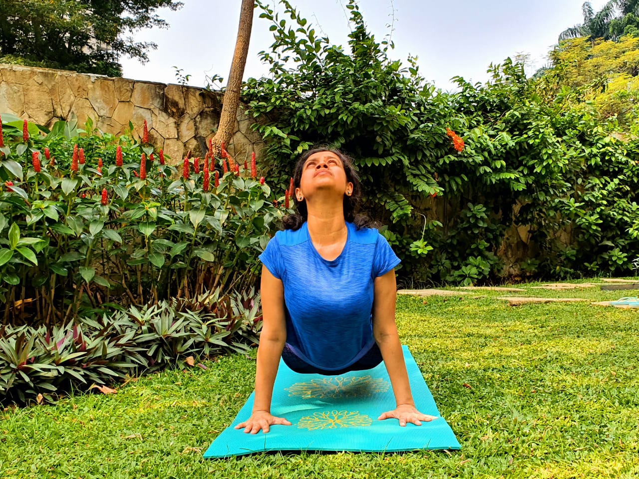Indoindians Yoga Challenge Day 5 URDHVA MUKHA SVANASANA