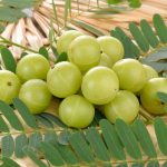 10-Kitchen-Ingredients-to-Boost-your-Immunity-Amla-Indian-Gooseberry