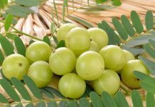 10-Kitchen-Ingredients-to-Boost-your-Immunity-Amla-Indian-Gooseberry