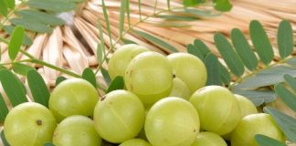 10-Kitchen-Ingredients-to-Boost-your-Immunity-Amla-Indian-Gooseberry