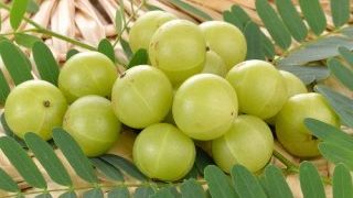 10-kitchen-ingredients-to-boost-your-immunity