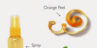Homemade Orange Peel and Mint Facial Toner by Geeta Seth